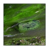 "Land art pastoral", estive de Melles (Haute-Garonne)
